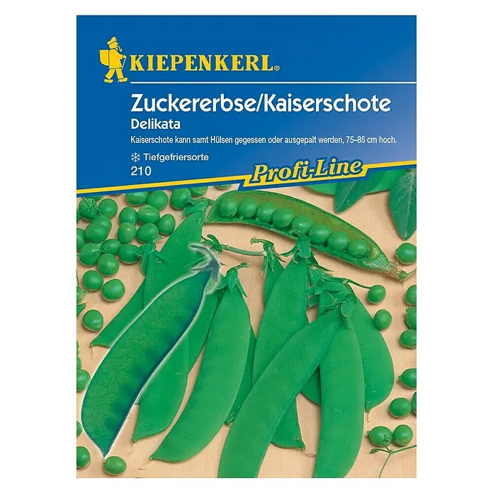 Kiepenkerl Profi-Line Gemüsesamen Zuckererbse - Delikata, Pisum sativum, Erntezeit: Juni - Vorderansicht