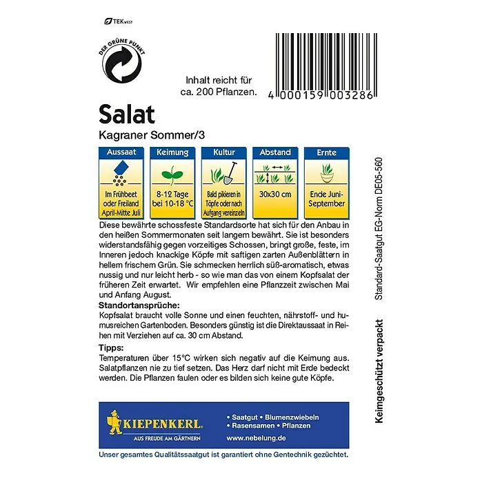 Kiepenkerl Salatsamen Kopfsalat - Kagraner Sommer/3, Lactuca sativa var. capitata, Erntezeit: Juni - Rückansicht
