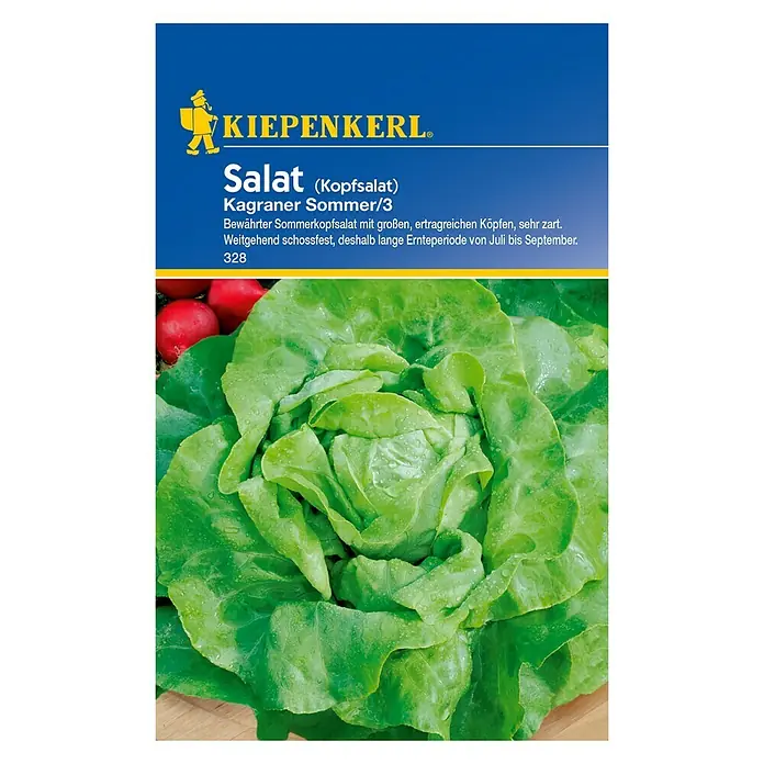 Kiepenkerl Salatsamen Kopfsalat - Kagraner Sommer/3, Lactuca sativa var. capitata, Erntezeit: Juni - Vorderansicht
