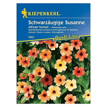Kiepenkerl Profi-Line Blumensamen Schwarzäugige Susanne African Sunset