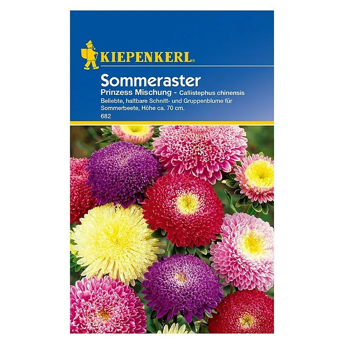 Kiepenkerl Blumensamen Sommeraster - Callistephus chinensis, Prinzess Mischung, Blütezeit: Juli - Vorderansicht