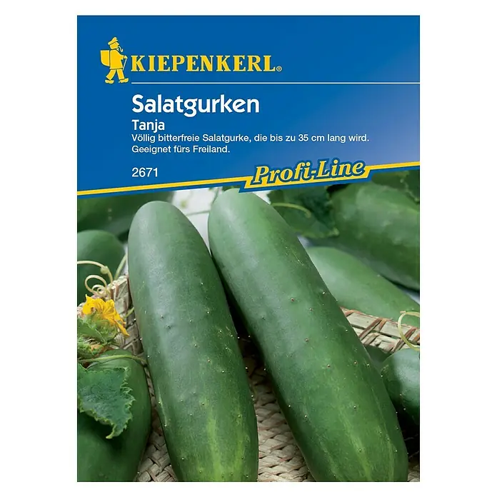 Kiepenkerl Profi-Line Gemüsesamen Salatgurke - Cucumis sativus, Erntezeit: Juli - Vorderansicht