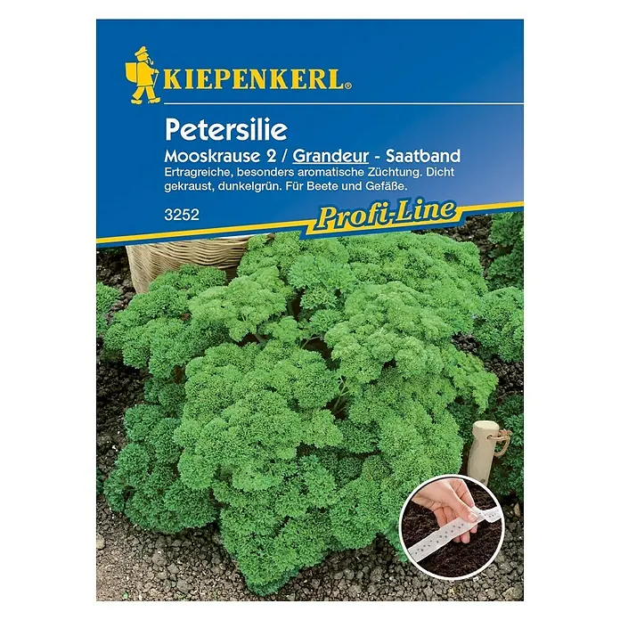 Kiepenkerl Profi-Line Kräutersamen Petersilie - Grandeur - Saatband, Petroselinum crispum var. crispum, Saatzeit: April, Erntezeit: Ganzjährig - Vorderansicht