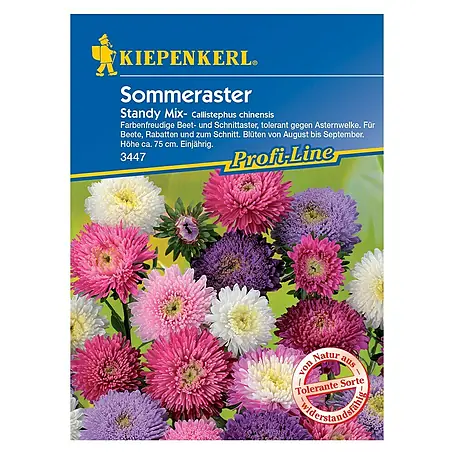 Kiepenkerl Profi-Line Blumensamen Sommeraster