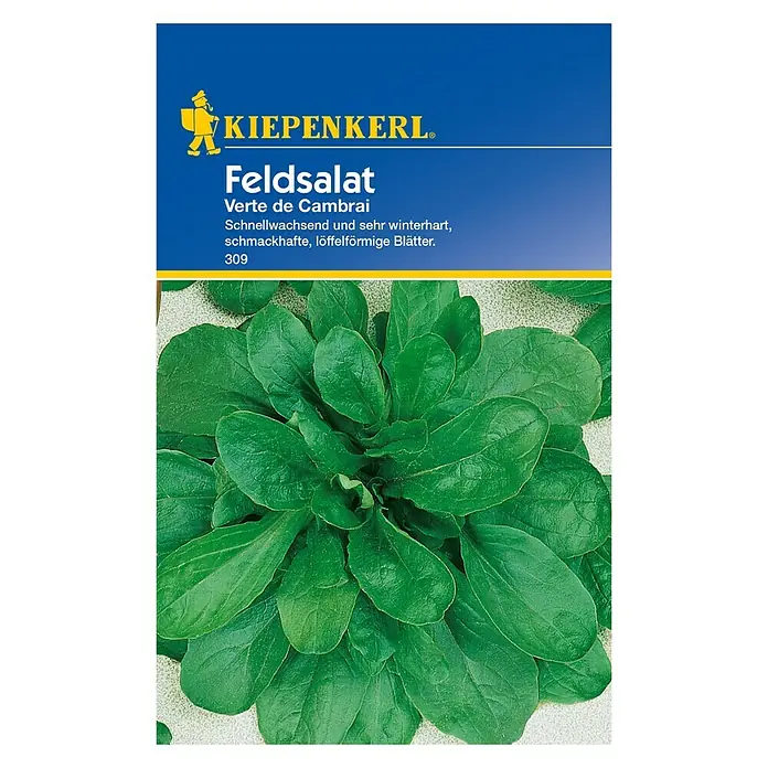 Kiepenkerl Salatsamen Feldsalat - Valerianella locusta, Verte de Cambrai, Erntezeit: Oktober - Vorderansicht