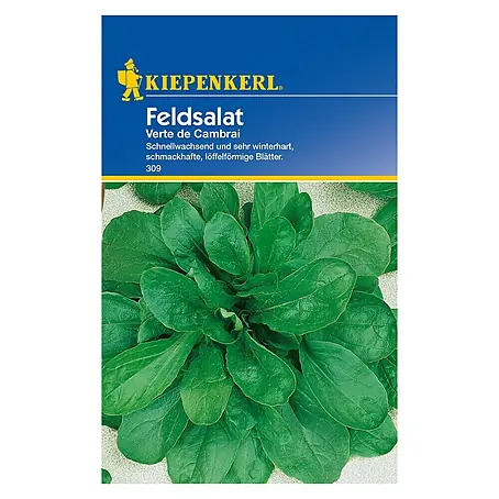Kiepenkerl  Salatsamen Feldsalat