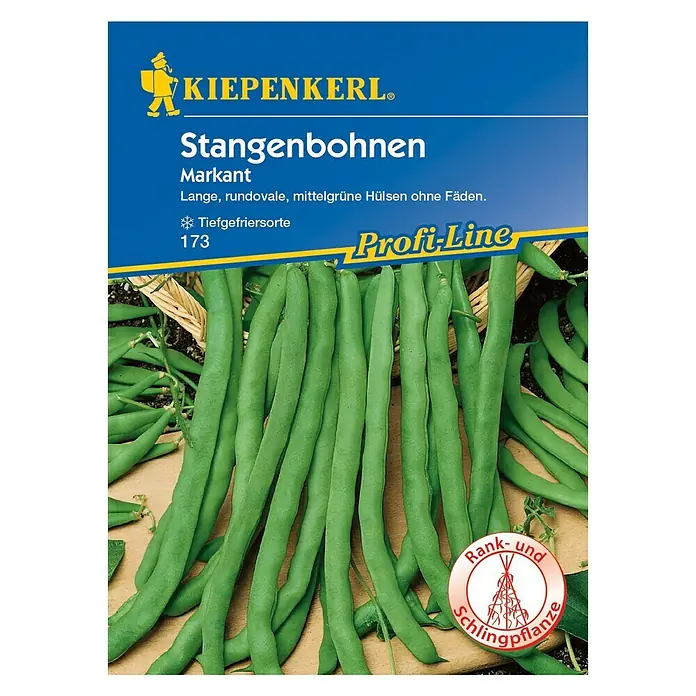 Kiepenkerl Profi-Line Gemüsesamen Stangenbohne - Markant, Phaseolus vulgaris var. vulgaris, Erntezeit: Juli - Vorderansicht