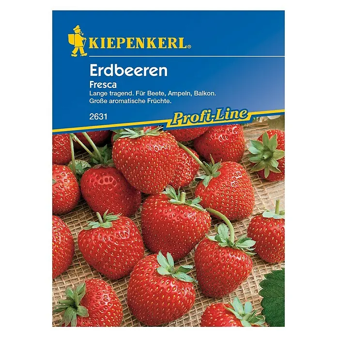 Kiepenkerl Profi-Line Obstsamen Erdbeere - Fragaria x ananassa, Erntezeit: Juli - Vorderansicht