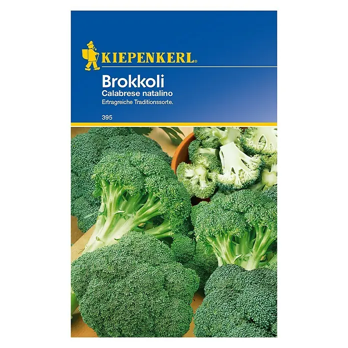 Kiepenkerl Gemüsesamen Brokkoli Calabrese Natalino - Brassica oleracea var. italica, Erntezeit: Juli - Vorderansicht