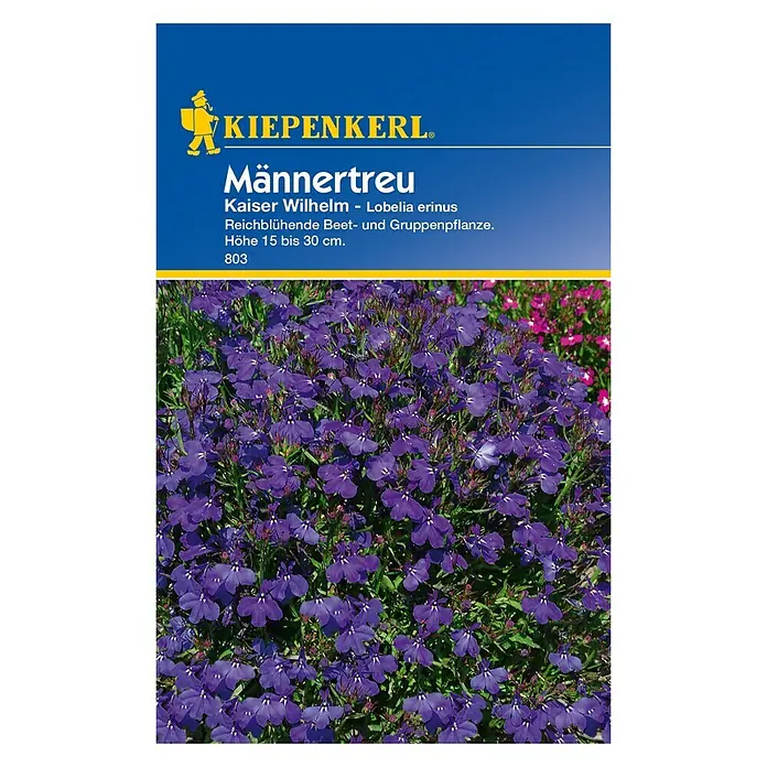 Kiepenkerl Blumensamen Männertreu - Lobelia erinus, Blau - Vorderansicht