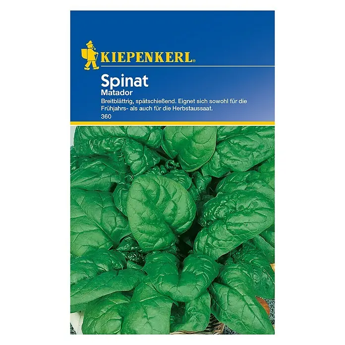 Kiepenkerl Gemüsesamen Spinat - 33 g, Spinacia oleracea - Vorderansicht