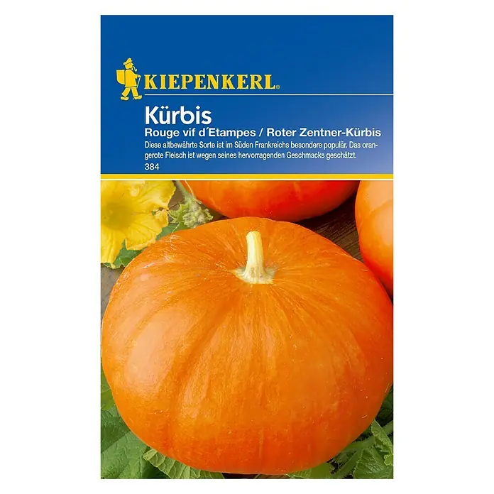 Kiepenkerl Profi-Line Gemüsesamen Kürbis - Roter Zentner-Kürbis, Cucurbita maxima, Erntezeit: August - Vorderansicht