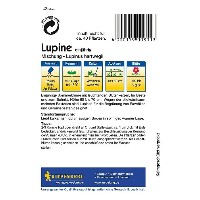 Kiepenkerl Blumensamenmischung Lupine - Lupinus hartwegii, Mehrfarbig - Rückansicht
