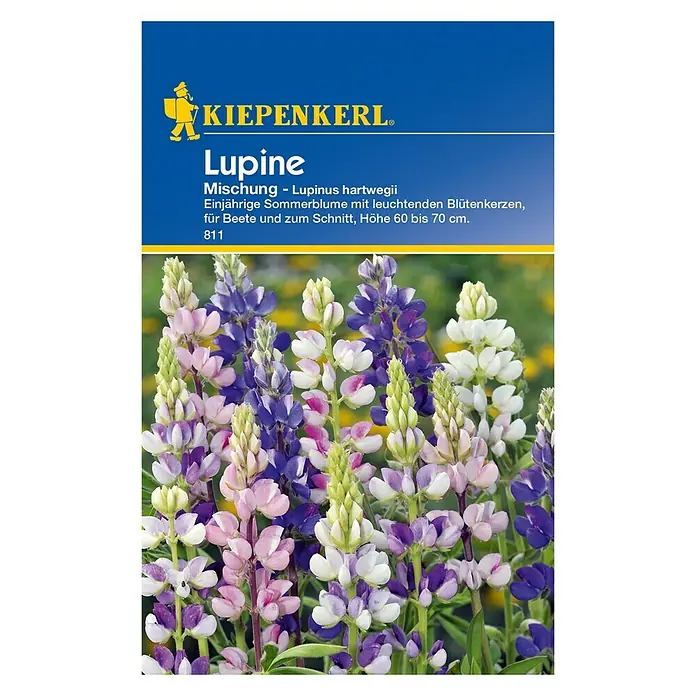 Kiepenkerl Blumensamenmischung Lupine - Lupinus hartwegii, Mehrfarbig - Vorderansicht