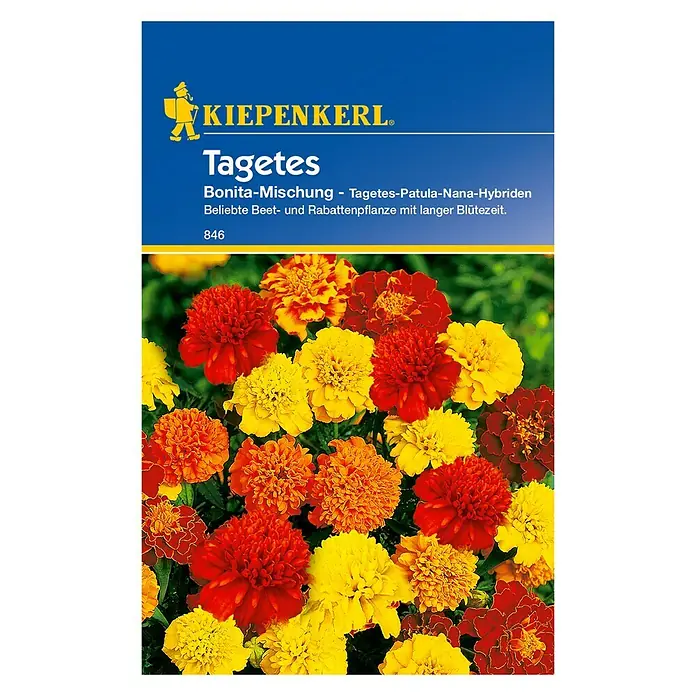 Kiepenkerl Blumensamen Studentenblume - Tagetes patula, Bonita, Blütezeit: Juni - Vorderansicht