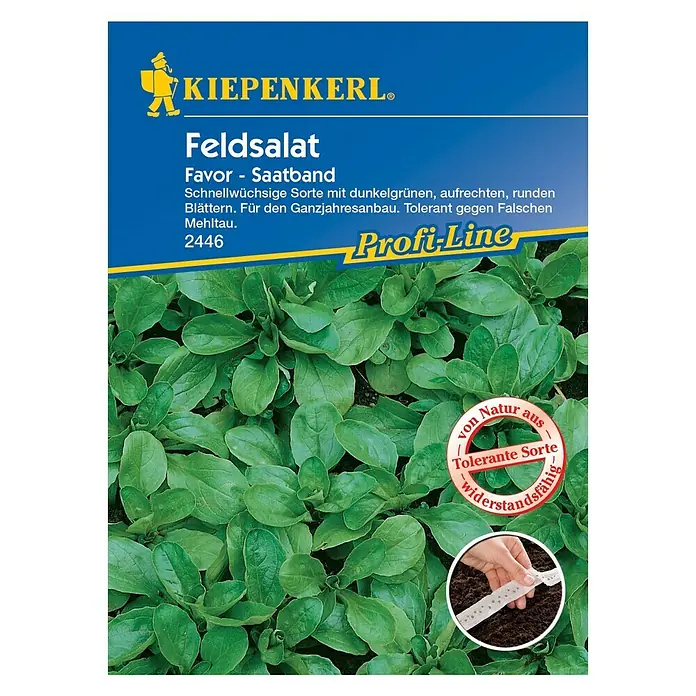 Kiepenkerl Profi-Line Salatsamen Feldsalat - Favor - Saatband, Valerianella locusta, Erntezeit: Ganzjährig - Vorderansicht