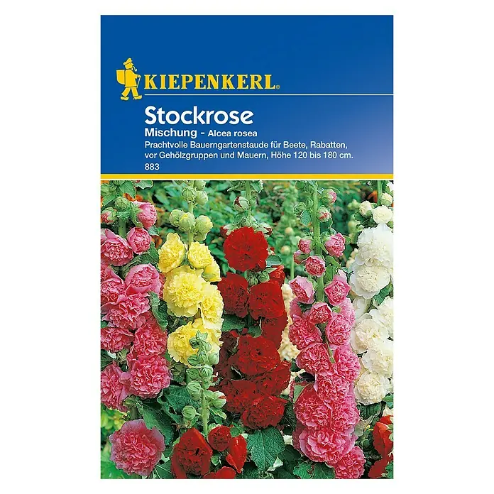 Kiepenkerl Blumensamenmischung Stockrose - Alcea rosea, Mehrfarbig - Vorderansicht