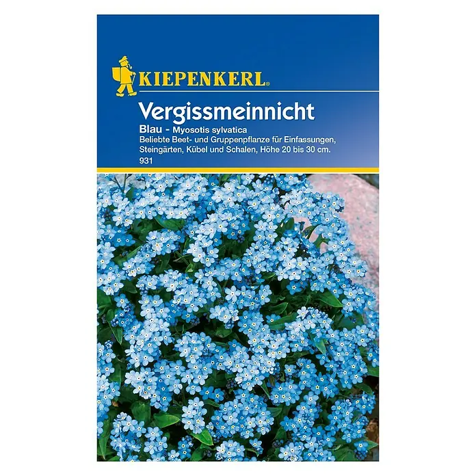 Kiepenkerl Blumensamen Vergissmeinnicht - Myosotis sylvatica, Blau - Vorderansicht