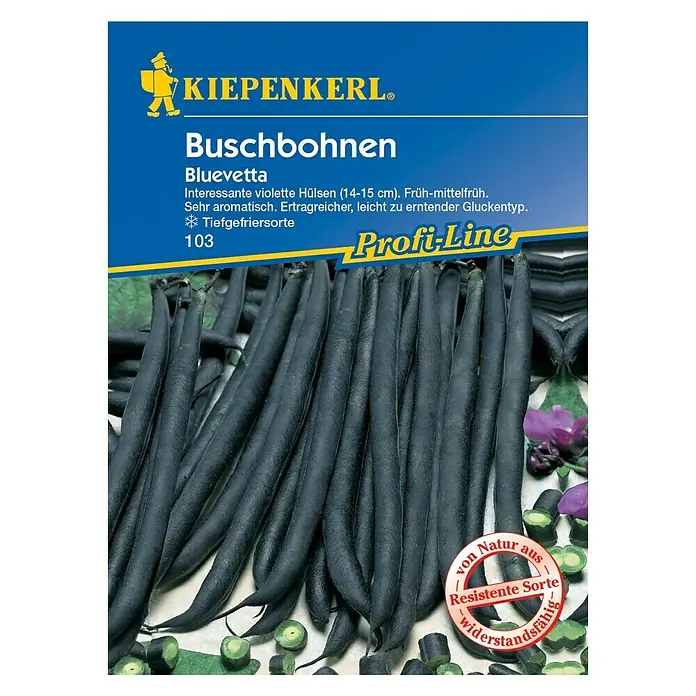 Kiepenkerl Profi-Line Gemüsesamen Buschbohne - Bluevetta, Phaseolus vulgaris var. nanus, Erntezeit: Juli - Vorderansicht