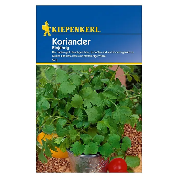 Kiepenkerl Kräutersamen Koriander - Coriandrum sativum, Saatzeit: April, Erntezeit: Juni - Vorderansicht