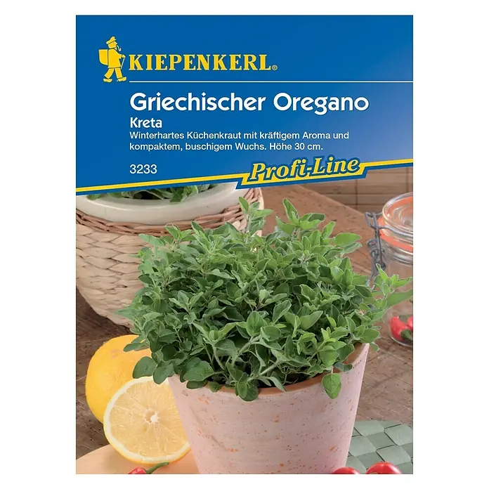 Kiepenkerl Profi-Line Kräutersamen Oregano Kreta - Origanum vulgare subsp. viridulum, Erntezeit: Juni - Vorderansicht