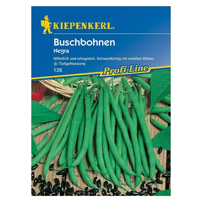 Kiepenkerl Profi-Line Gemüsesamen Buschbohne - Negra, Phaseolus vulgaris var. nanus, Erntezeit: Juli - Vorderansicht