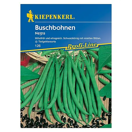 Kiepenkerl Profi-Line Gemüsesamen Buschbohne
