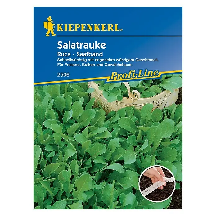 Kiepenkerl Profi-Line Salatsamen Salatrauke - Eruca sativa, Erntezeit: Ganzjährig - Vorderansicht