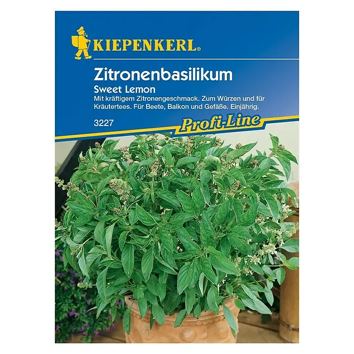 Kiepenkerl Profi-Line Kräutersamen Zitronenbasilikum - Ocimum americanum, Saatzeit: Mai, Erntezeit: Juli - Vorderansicht