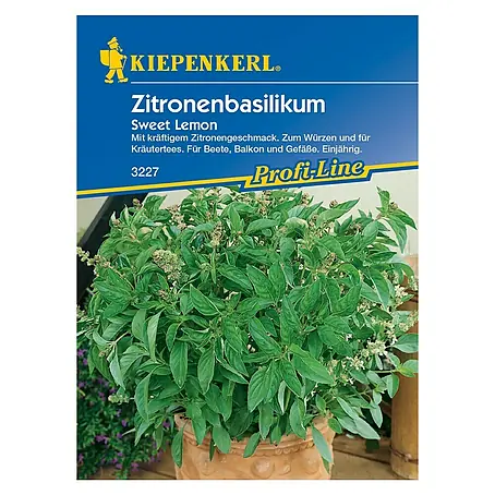 Kiepenkerl Profi-Line Kräutersamen Zitronenbasilikum