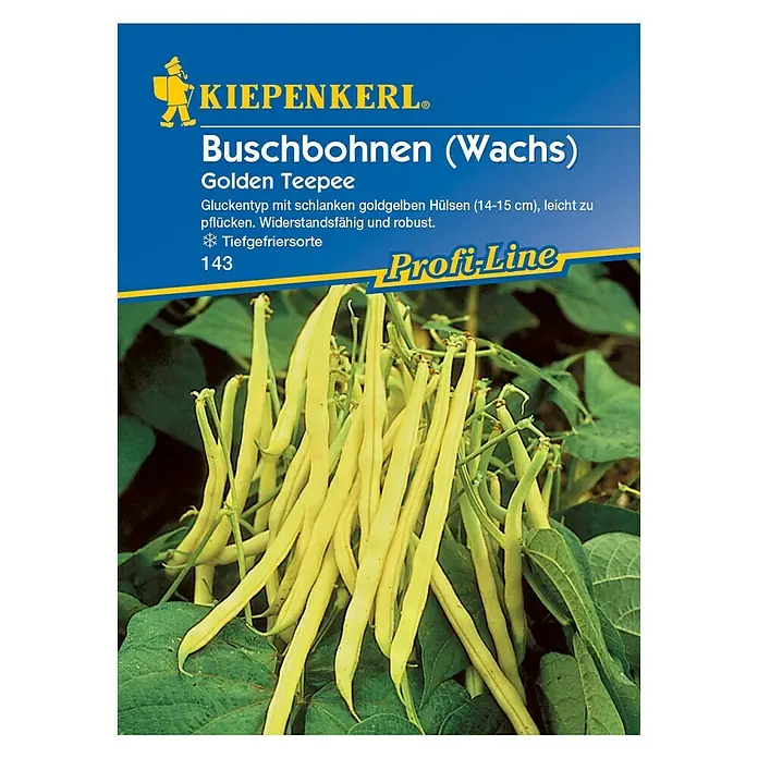 Kiepenkerl Profi-Line Gemüsesamen Buschbohne - Golden Teepee, Phaseolus vulgaris var. nanus, Erntezeit: Juli - Vorderansicht