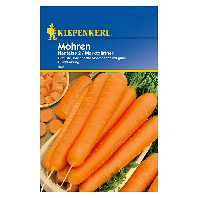 Kiepenkerl Gemüsesamen Möhre - Marktgärtner, Daucus carota ssp. sativus, Erntezeit: Juli - Vorderansicht