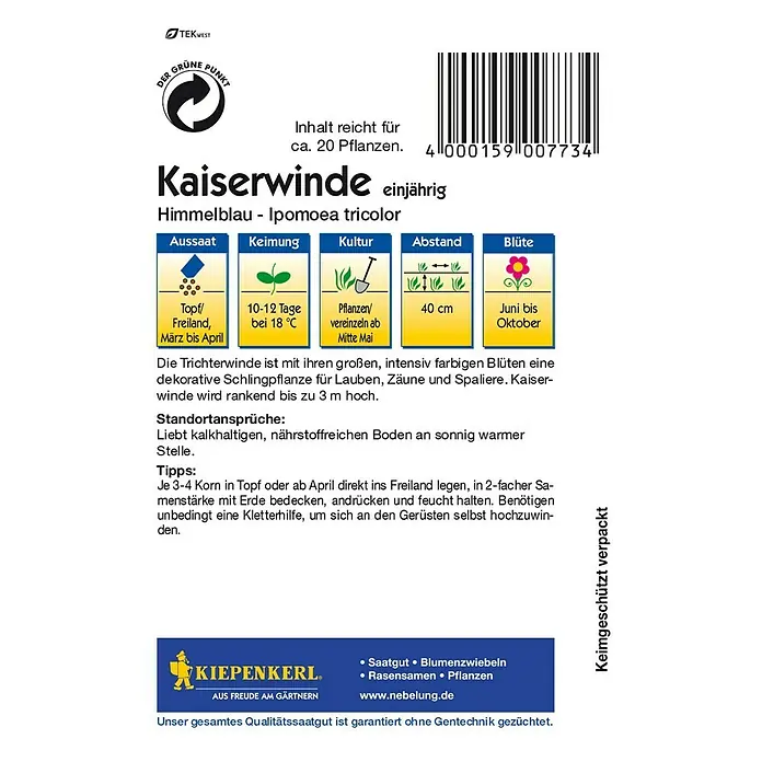 Kiepenkerl Blumensamen Kaiserwinde - Ipomoea tricolor, Blau - Rückansicht