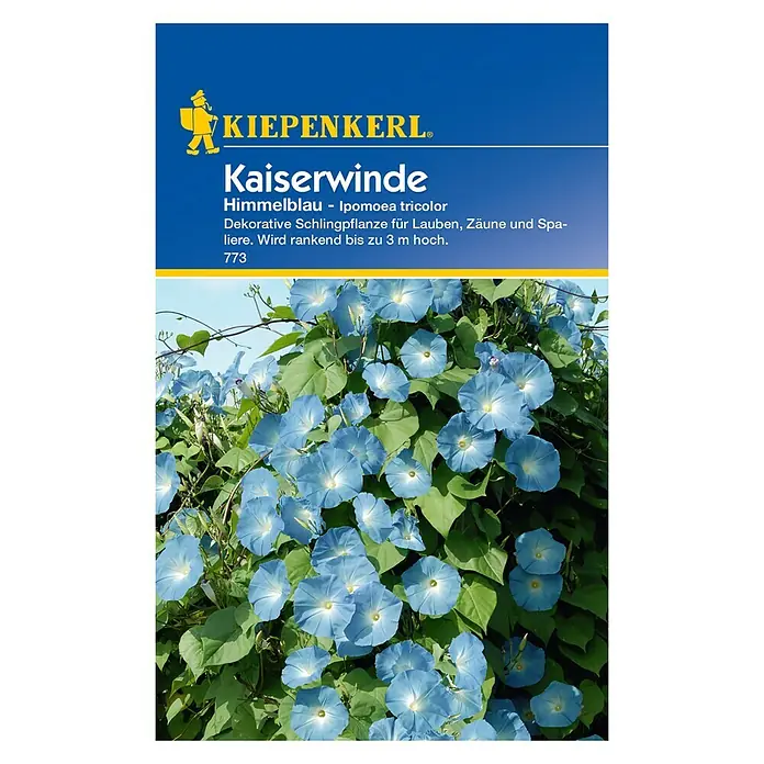 Kiepenkerl Blumensamen Kaiserwinde - Ipomoea tricolor, Blau - Vorderansicht