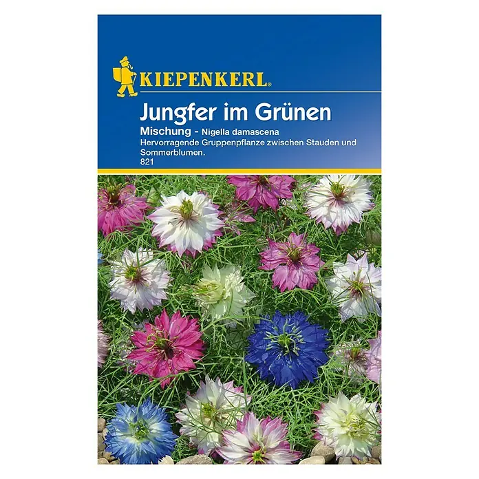 Kiepenkerl Blumensamen Jungfer im Grünen - Nigella damascena, Mischung, Blütezeit: Juni - Vorderansicht