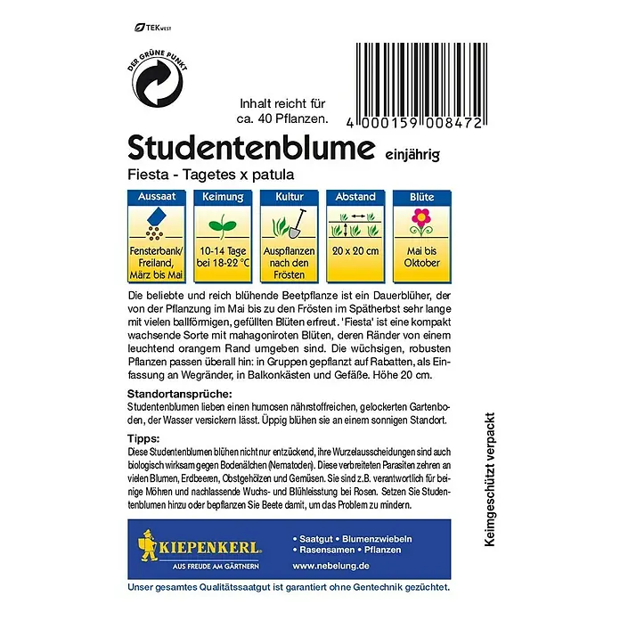 Kiepenkerl Blumensamen Studentenblume - Tagetes patula, Fiesta, Blütezeit: Mai - Rückansicht