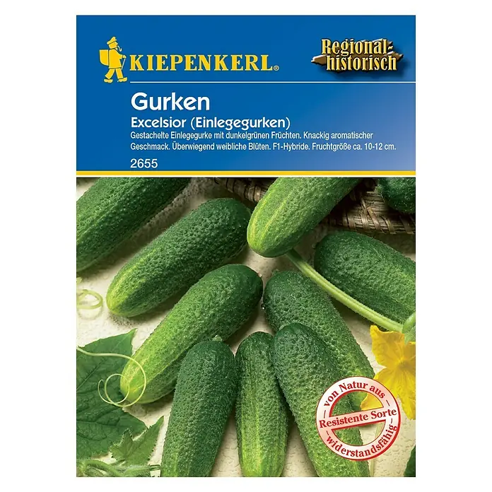 Kiepenkerl Gemüsesamen Einlegegurke - Excelsior, Cucumis sativus, Erntezeit: Juli - Vorderansicht
