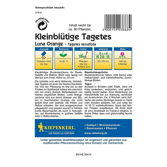Kiepenkerl Blumensamen Studentenblume - Tagetes tenuifolia, Luna Orange, Blütezeit: Mai - Rückansicht
