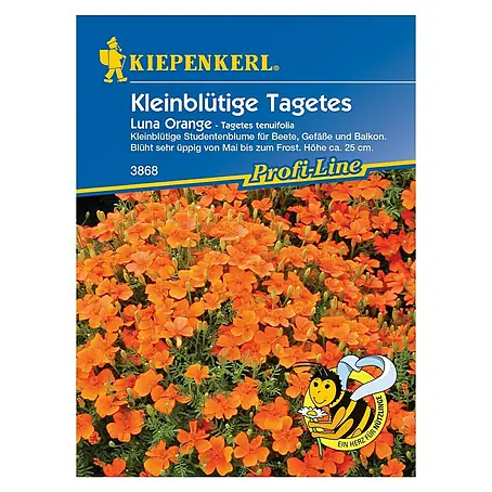 Kiepenkerl  Blumensamen Studentenblume