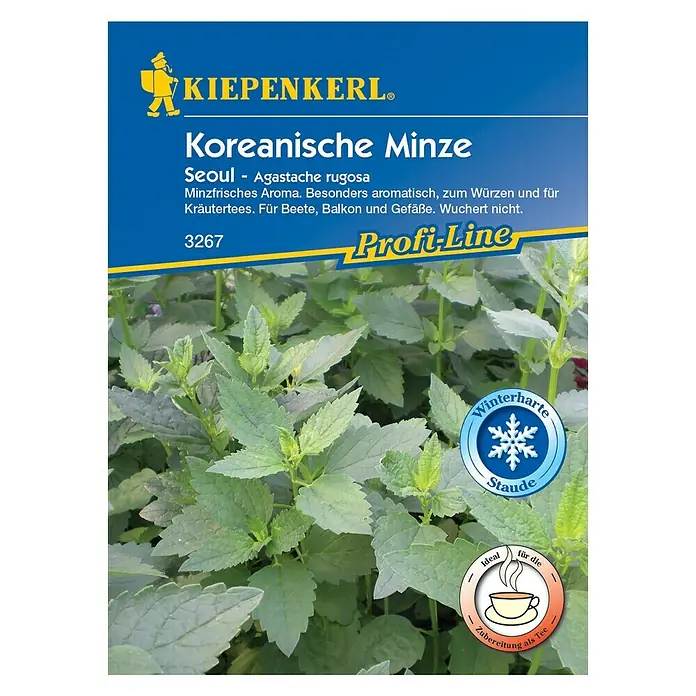 Kiepenkerl Profi-Line Kräutersamen Koreanische Minze - Seoul, Agastache rugosa, Saatzeit: Mai, Erntezeit: Juli - Vorderansicht