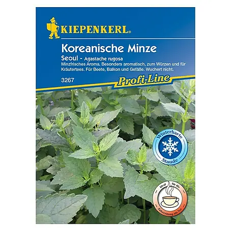 Kiepenkerl Profi-Line Kräutersamen Koreanische Minze