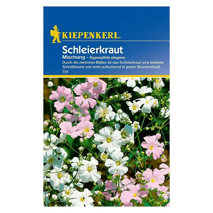 Kiepenkerl Blumensamen Schleierkraut - Gypsophila elegans, Mehrfarbig - Vorderansicht