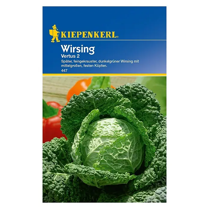 Kiepenkerl Gemüsesamen Wirsing Vertus 2 - Brassica oleracea var. sabauda, Erntezeit: September - Vorderansicht