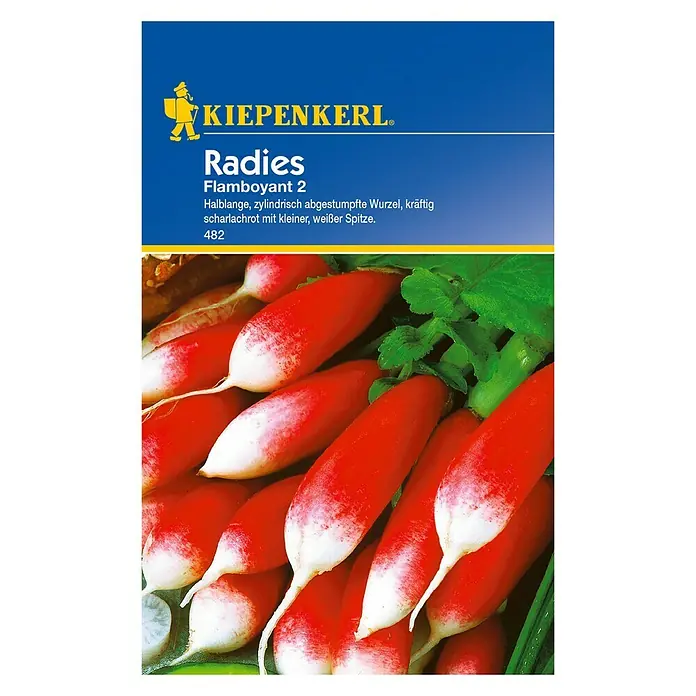 Kiepenkerl Gemüsesamen Radieschen - Flamboyant 2, Raphanus sativus var. sativus, Erntezeit: April - Vorderansicht
