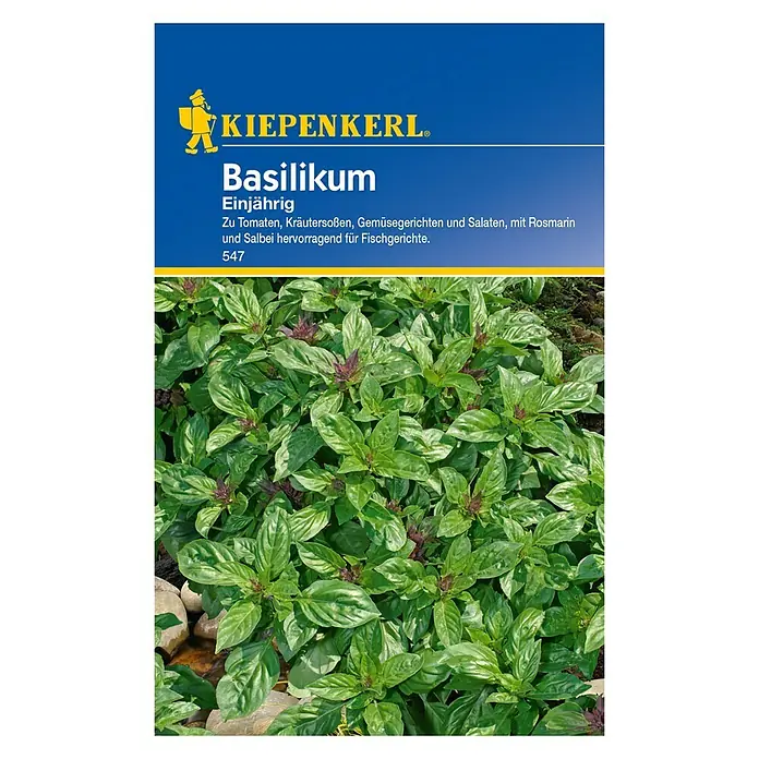Kiepenkerl Kräutersamen Basilikum - Ocimum basilicum, Erntezeit: Juni - Vorderansicht