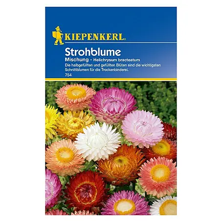Kiepenkerl  Blumensamen Strohblume