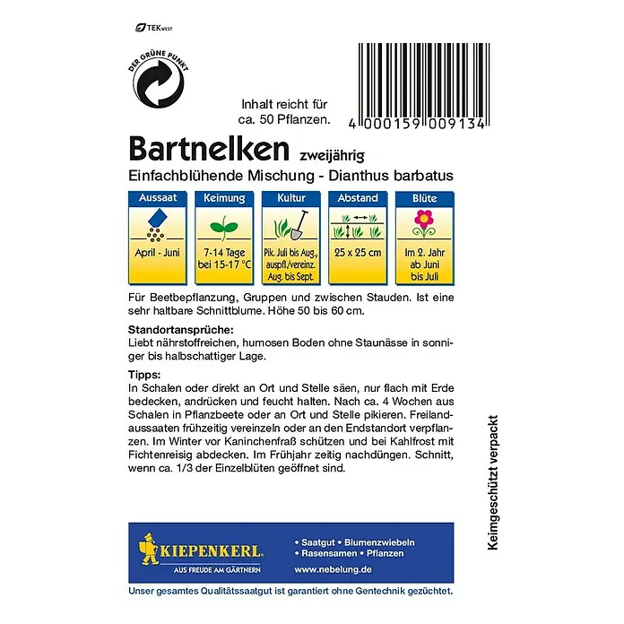Kiepenkerl Blumensamen Bartnelke - Dianthus barbatus, Mehrfarbig - Rückansicht