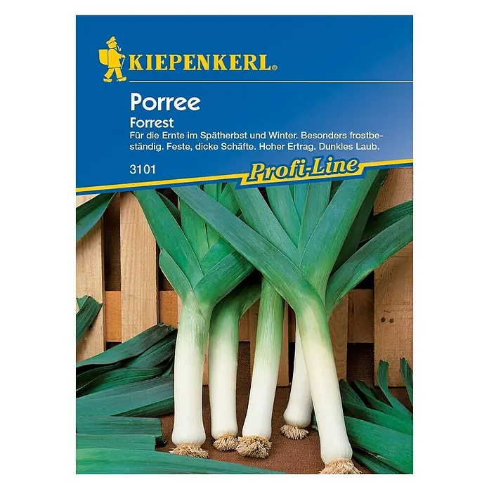 Kiepenkerl Profi-Line Gemüsesamen Porree - Forrest, Allium porrum, Erntezeit: November - Vorderansicht
