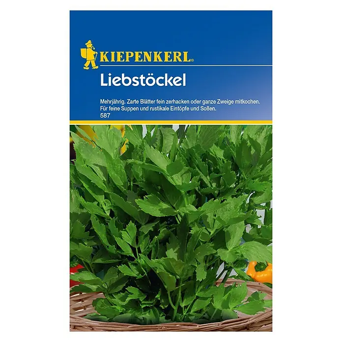 Kiepenkerl Kräutersamen Liebstöckel - Levisticum officinale, Saatzeit: März, Erntezeit: Juni - Vorderansicht