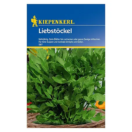 Kiepenkerl  Kräutersamen Liebstöckel